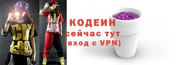 дурь Арсеньев