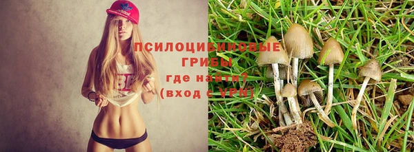 дживик Армянск