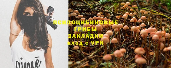 дурь Арсеньев