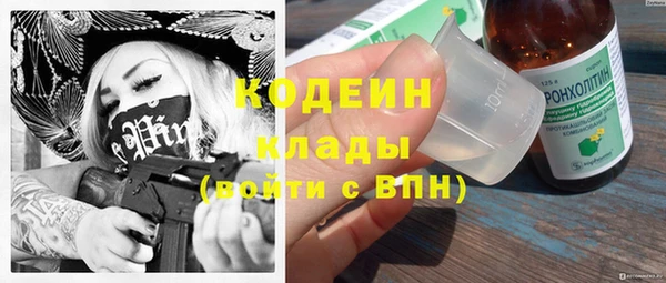 дурь Арсеньев