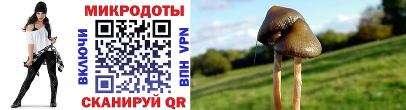 блэк спрут   Пугачёв  Галлюциногенные грибы мухоморы 